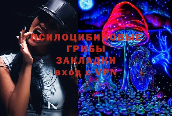 соль ск Алексеевка