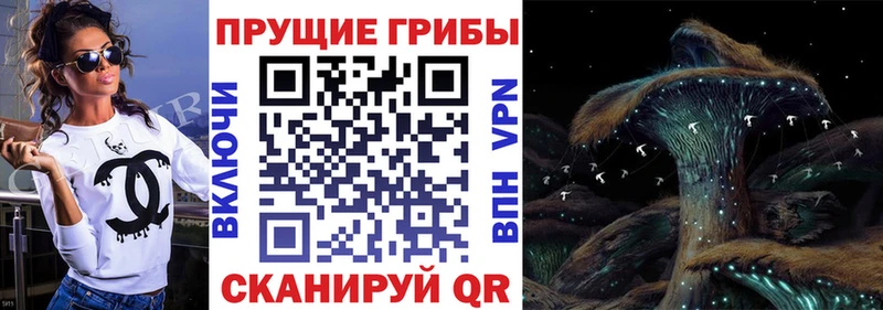 Галлюциногенные грибы GOLDEN TEACHER  omg tor  Харабали 